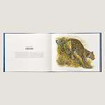 Лимитированная подарочная книга HERMES Fierce and Fragile book, English version варинант исполнения - 3 | Loft Concept в Уфе
