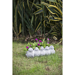 Кашпо Canaries варинант исполнения - 6 | Loft Concept в Уфе