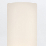 Бра для ванных комнат вертикальное с двумя матовыми белыми стеклянными плафонами Hinkley варинант исполнения - 4 | Loft Concept в Уфе