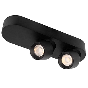 Накладной спот светодиодный с двумя регулируемыми цилиндрическими плафонами на овальном основании Architect’s Vision