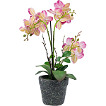 Декоративный искусственное растение Pink orchid варинант исполнения - 5 | Loft Concept в Уфе
