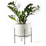 Кашпо из керамики Elevated Planters 32 варинант исполнения - 11 | Loft Concept в Уфе