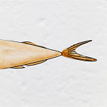 Плитка с узором Рыба Русалка варинант исполнения - 6 | Loft Concept в Уфе