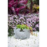 Кашпо A collection of baby rabbits варинант исполнения - 9 | Loft Concept в Уфе