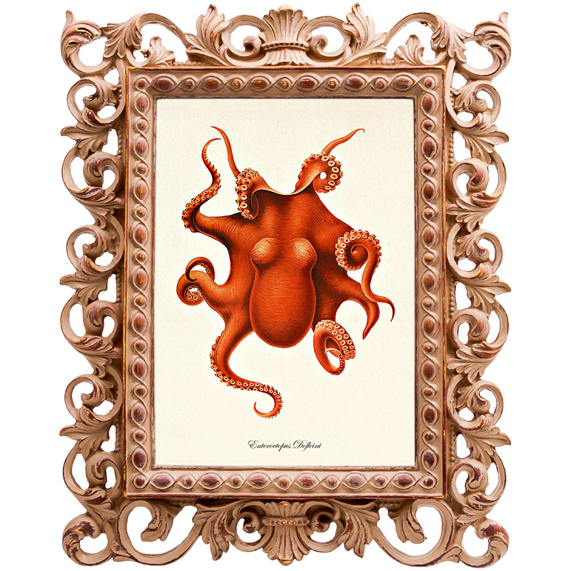 Постер Red Octopus Poster Бежевый Красный в Уфе | Loft Concept 