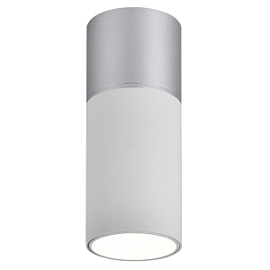 Накладной светодиодный спот Delightfull White&Silver