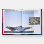 Radical Architecture of the Future варинант исполнения - 4 | Loft Concept в Уфе