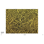 Редкое подарочное издание Yayoi Kusama: 1945 to Now варинант исполнения - 7 | Loft Concept в Уфе