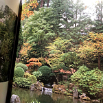 Книга Kengo Kuma: Japanese Portland Garden Bognar Botond, Bognar Balazs варинант исполнения - 2 | Loft Concept в Уфе