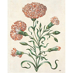 Книга цветов 22 постера Maria Sibylla Merian: 22 Pull-Out Posters варинант исполнения - 4 | Loft Concept в Уфе