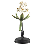 Статуэтка Wonderboom варинант исполнения - 1 | Loft Concept в Уфе