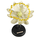 Статуэтка Tilia варинант исполнения - 1 | Loft Concept в Уфе