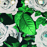 Штора Seletti Roses варинант исполнения - 1 | Loft Concept в Уфе