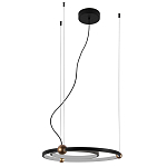 Люстра подвесная светодиодная черный металл Ring Horizontal варинант исполнения - 2 | Loft Concept в Уфе