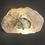 Бра Декоративный лист с стрекозой Glacial Fragment варинант исполнения - 2 | Loft Concept в Уфе