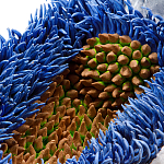 Дизайнерская статуэтка для интерьера Tropical Fruit Pandora 12 варинант исполнения - 3 | Loft Concept в Уфе