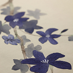 Обои ручная роспись Cherry Tree Original colourway on Stone Ochre dyed silk варинант исполнения - 3 | Loft Concept в Уфе