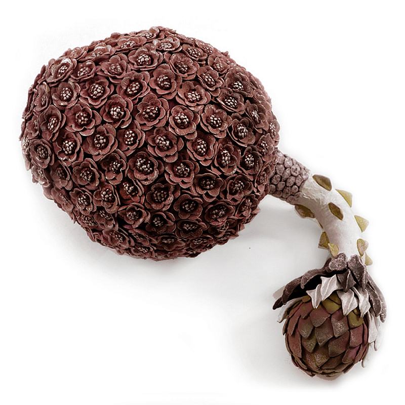 Коричневый фрукт Exotic Fruit Artichoke Brown 42 Коричневый Коричневый фрукт Exotic Fruit Artichoke Brown 42 Коричневый в Уфе | Loft Concept