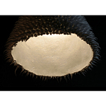 Светильник Acus варинант исполнения - 3 | Loft Concept в Уфе