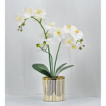 Декоративный искусственное растение Lush Orchid варинант исполнения - 2 | Loft Concept в Уфе