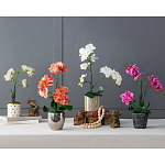 Декоративный искусственное растение Pink orchid варинант исполнения - 11 | Loft Concept в Уфе