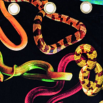 Штора Seletti Snakes Black варинант исполнения - 1 | Loft Concept в Уфе