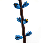 Синий экзотический фрукт статуэтка для интерьераTropical Fruit Pandora 9 варинант исполнения - 2 | Loft Concept в Уфе