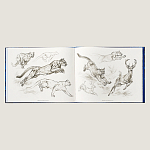 Лимитированная подарочная книга HERMES Fierce and Fragile book, English version варинант исполнения - 4 | Loft Concept в Уфе