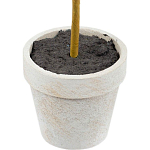 Декоративный искусственное растение Boxwood One варинант исполнения - 3 | Loft Concept в Уфе