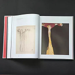 Подарочная Книга Rene gruau fashion illustration варинант исполнения - 11 | Loft Concept в Уфе