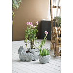 Кашпо A collection of baby rabbits варинант исполнения - 4 | Loft Concept в Уфе