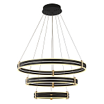 Люстра светодиодная с 3-мя плафонами в форме колец из акрила и алюминия с пультом для регулировки света Ring Horizontal Anthracite варинант исполнения - 1 | Loft Concept в Уфе