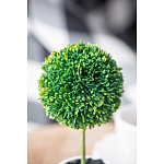 Декоративный искусственное растение Boxwood One варинант исполнения - 8 | Loft Concept в Уфе