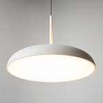 Подвесной светильник Gerhard 3000К 39Вт варинант исполнения - 10 | Loft Concept в Уфе