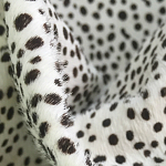 Мебельная ткань Искусственный мех  белый леопард 90 см T5-3 варинант исполнения - 1 | Loft Concept в Уфе