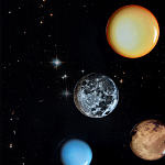 Блюдо Seletti Sun варинант исполнения - 6 | Loft Concept в Уфе