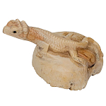 Статуэтка из дерева ящерица Animals of the World варинант исполнения - 2 | Loft Concept в Уфе