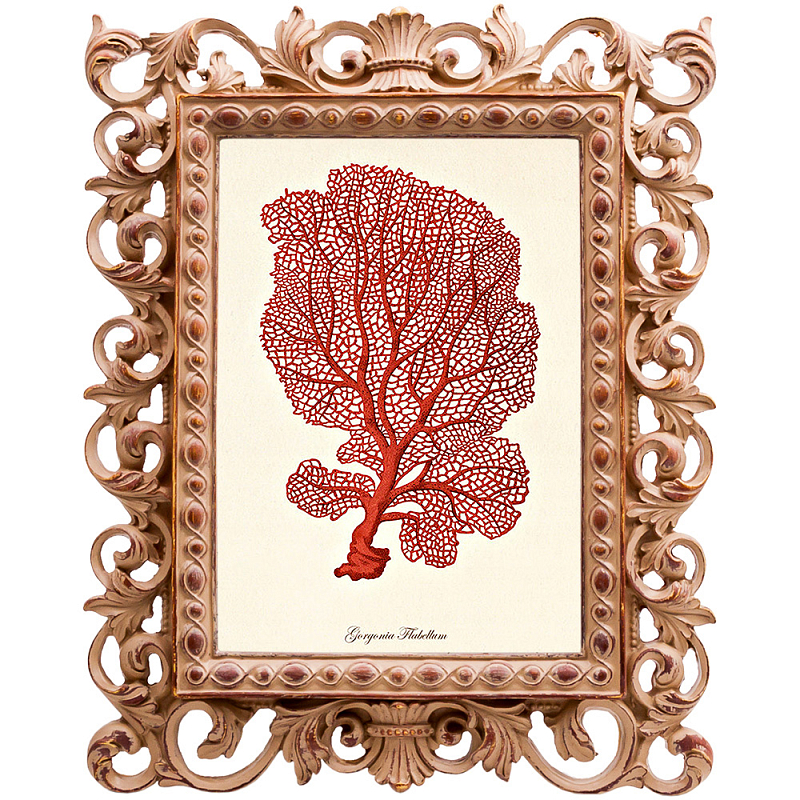 Постер Red Coral Poster 5 Бежевый Красный Постер Red Coral Poster 5 Бежевый Красный в Уфе | Loft Concept