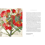 Прекрасно иллюстрированная книга более 100 ботанических произведений Plant Hunters Atlas варинант исполнения - 5 | Loft Concept в Уфе