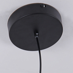 Люстра подвесная светодиодная черный металл Ring Horizontal варинант исполнения - 6 | Loft Concept в Уфе