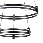 Люстра светодиодная с 2-мя плафонами в форме колец из акрила и алюминия с пультом для регулировки света Ring Horizontal Black варинант исполнения - 1 | Loft Concept в Уфе