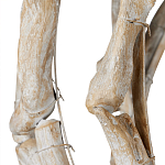 Люстра круглая в виде веток деревьев Natural Driftwood варинант исполнения - 3 | Loft Concept в Уфе