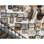 Книга Extraordinary Collections: French Interiors варинант исполнения - 11 | Loft Concept в Уфе