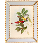 Постер с изображением птиц и цветов в зеркальной раме Blooming Birds Poster варинант исполнения - 1 | Loft Concept в Уфе