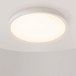 Потолочный светильник Incognito 2700-4000К 46Вт варинант исполнения - 4 | Loft Concept в Уфе