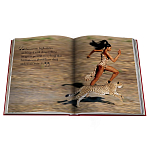 Лимитированная подарочная большая книга CARTIER Panthère варинант исполнения - 12 | Loft Concept в Уфе