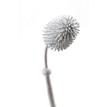 Статуэтка тропический фрукт Pandora Tropical Fruit Tall White варинант исполнения - 1 | Loft Concept в Уфе