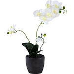Декоративный искусственное растение Angel Orchid варинант исполнения - 1 | Loft Concept в Уфе