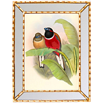 Постер с изображением птиц и цветов в зеркальной раме Blooming Birds Poster варинант исполнения - 6 | Loft Concept в Уфе