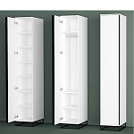 Шкаф-пенал белый с зеркальной дверцей Strict Lines варинант исполнения - 5 | Loft Concept в Уфе